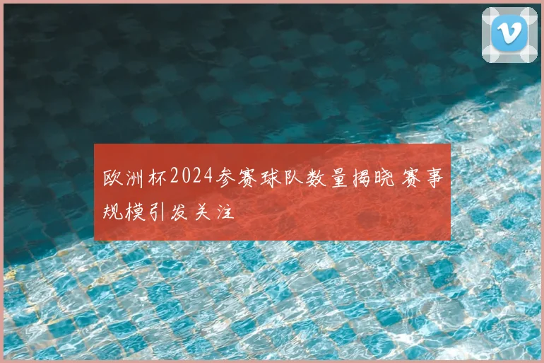 欧洲杯2024参赛球队数量揭晓 赛事规模引发关注
