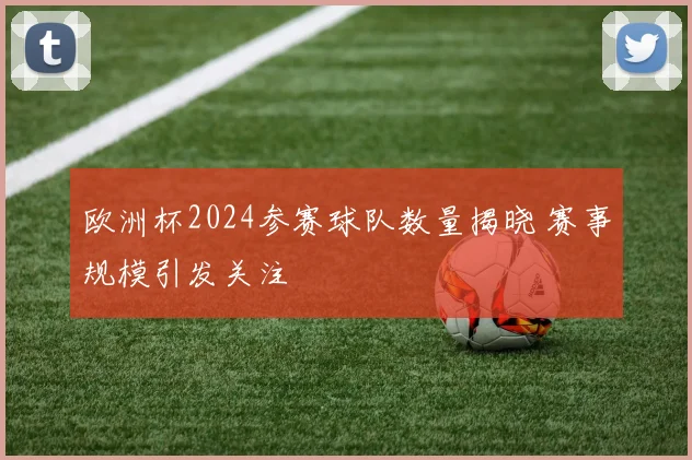 欧洲杯2024参赛球队数量揭晓 赛事规模引发关注