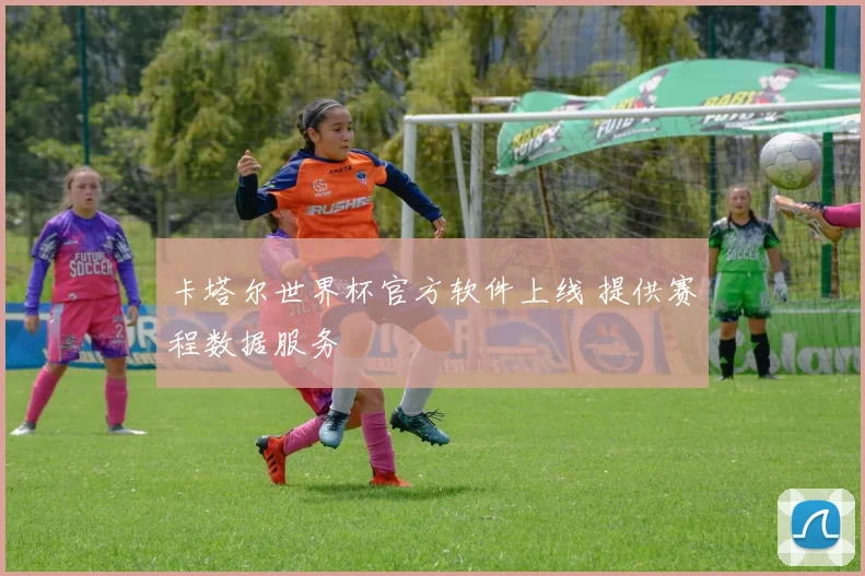 卡塔尔世界杯官方软件上线 提供赛程数据服务