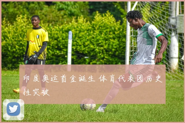 印度奥运首金诞生 体育代表团历史性突破