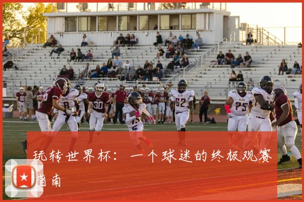 玩转世界杯：一个球迷的终极观赛指南