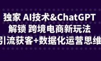 独家 AI技术&ChatGPT解锁 跨境电商新玩法，引流获客+数据化运营思维