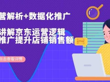 京东运营解析与数据化推广系列课，全维度讲解京东运营逻辑+数据化推广提升