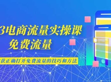 2023电商流量实操课-免费流量，学会可收获正确打开免费流量的技巧和方法