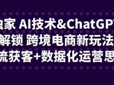 独家 AI技术&ChatGPT解锁 跨境电商新玩法，引流获客+数据化运营思维