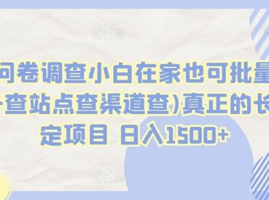 国外问卷调查小白在家也可批量操作(口子查站点查渠道查)真正的长久稳定项目 日入1500+【揭秘】