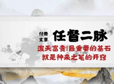 某公众号付费文章《任督二脉泼天富贵|最重要的基石就是神来之笔的开窍|万字》