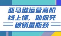 亚马逊运营高阶线上课，助你突破销量瓶颈
