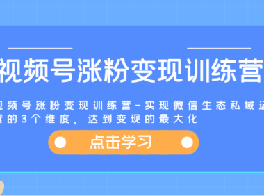 视频号涨粉变现训练营-实现微信生态私域运营的3个维度，达到变现的最大化