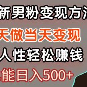 暴利项目最新风口，男粉自动变现，永不凋谢的网创项目，轻松日入500＋