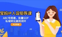 宝妈IP人设矩阵课：ABC号搭建，批量SOP，私域转化高效闭环