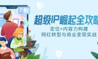 超级IP崛起全攻略，定位+内容力构建，网红转型与商业变现实战