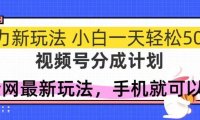 视频号分成计划，全网最暴力玩法，新手一天也能轻松500+