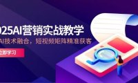 2025AI营销实战教学-5月，IP+AI技术融合，短视频矩阵精准获客