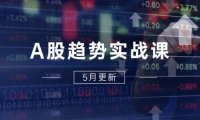 A股趋势实战课：主力动向+政策红利，2025全年策略5月更新