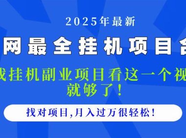 2025最全挂机项目合集 找项目看这一个视频就够了，做对项目月入过万很…