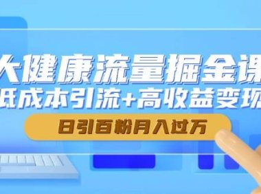 大健康流量掘金课，低成本引流+高收益变现，日引百粉月入过万